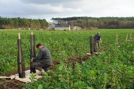 Mission Bocage 2
