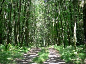 Parc Naturel Régional Normandie Maine 2
