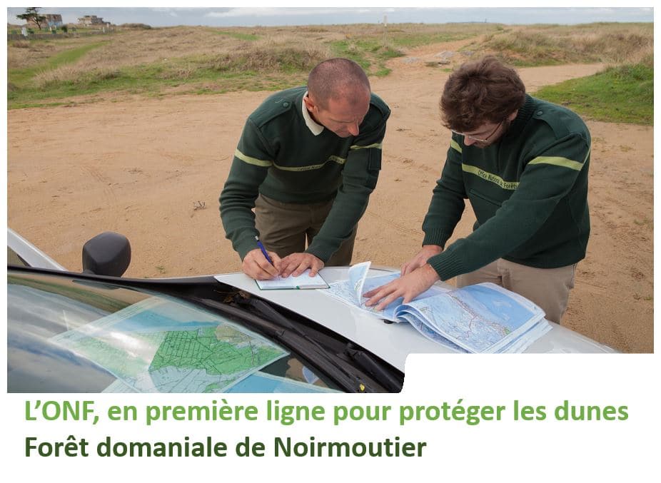 Onf Agence Régionale Des Pays De La Loire 1