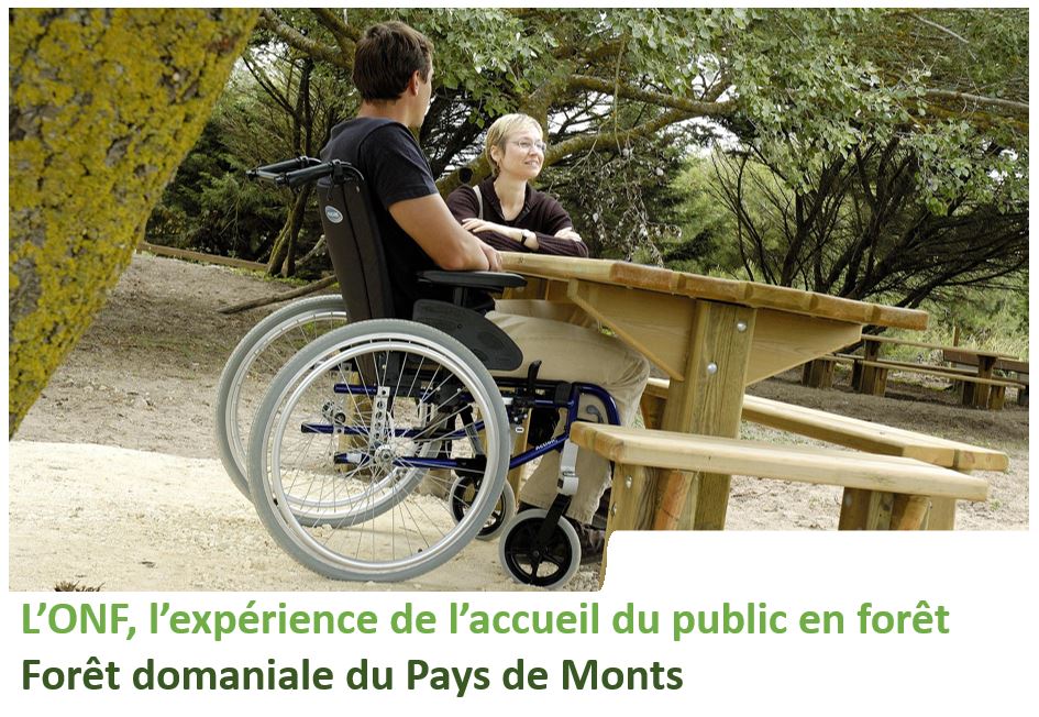 Onf Agence Régionale Des Pays De La Loire 2