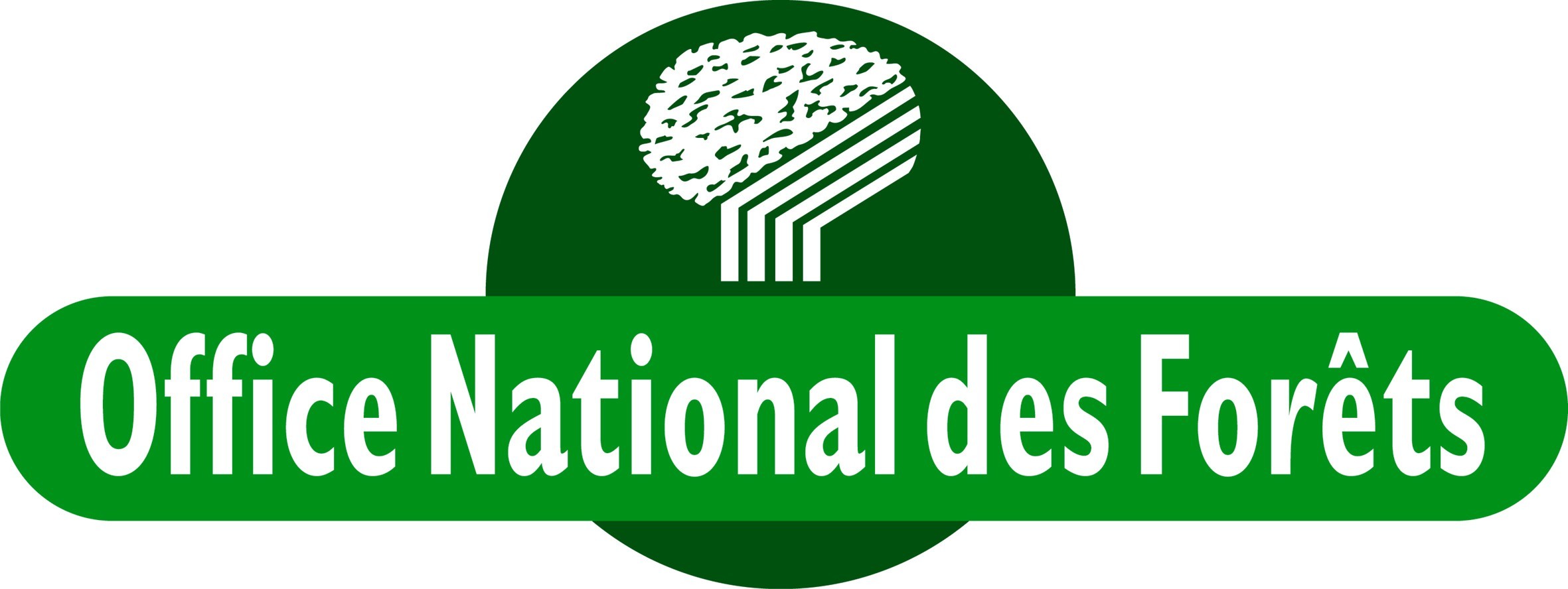 Logo OFFICE NATIONAL DES FORÊTS BRETAGNE (ONF)