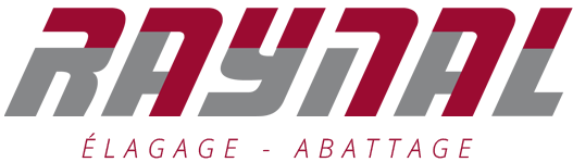 Logo RAYNAL ELAGAGE