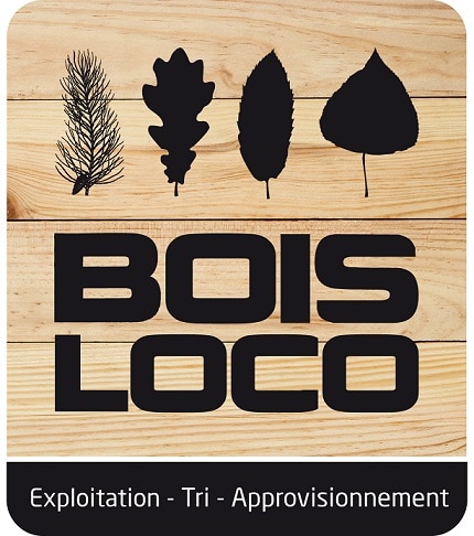 Logo Boisloco