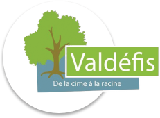 Logo Sarl Valdefis