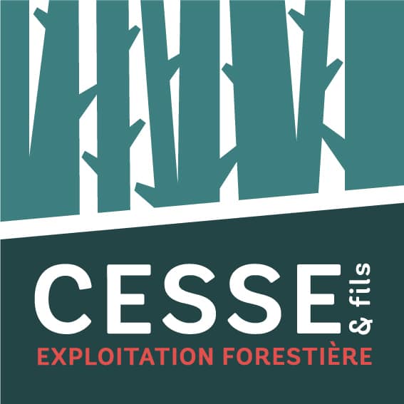 Logo Sas Cesse