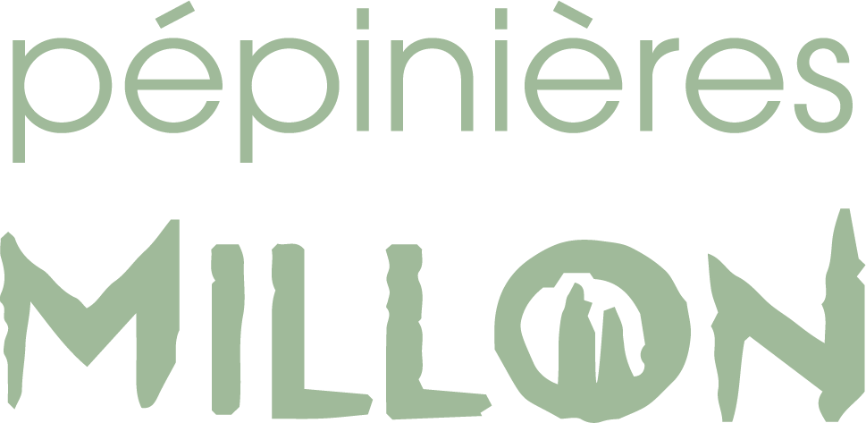 Logo Millon Pépinières - Claireau