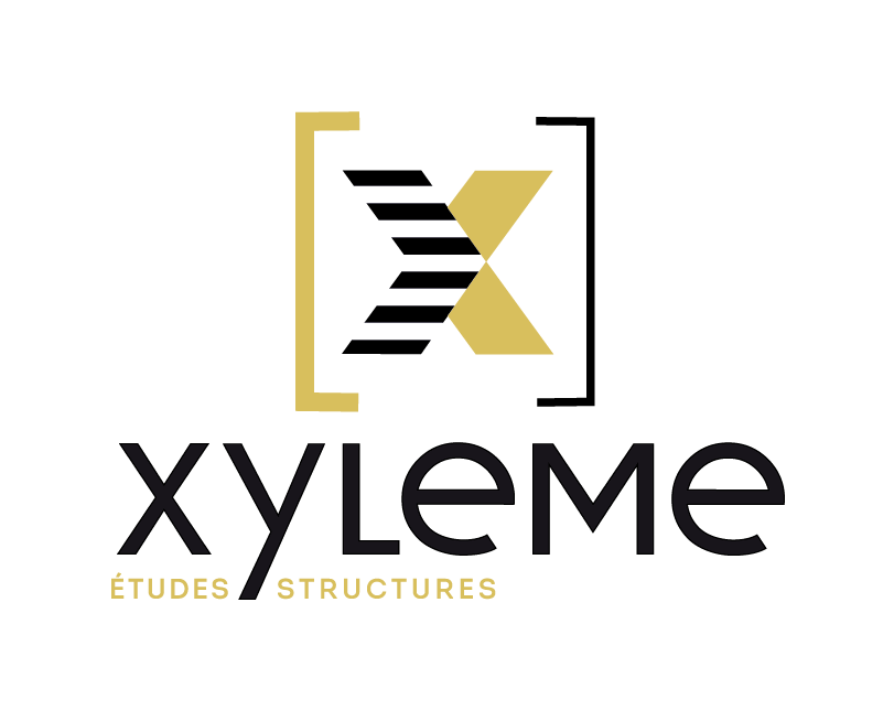 Xyleme- Logo