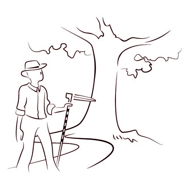 Forêt services conseils- Logo