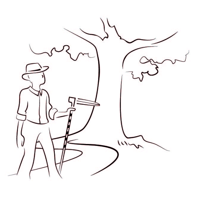 FORET SERVICES CONSEILS