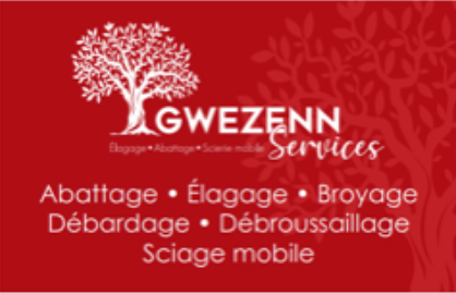 Logo Gwezenn services
