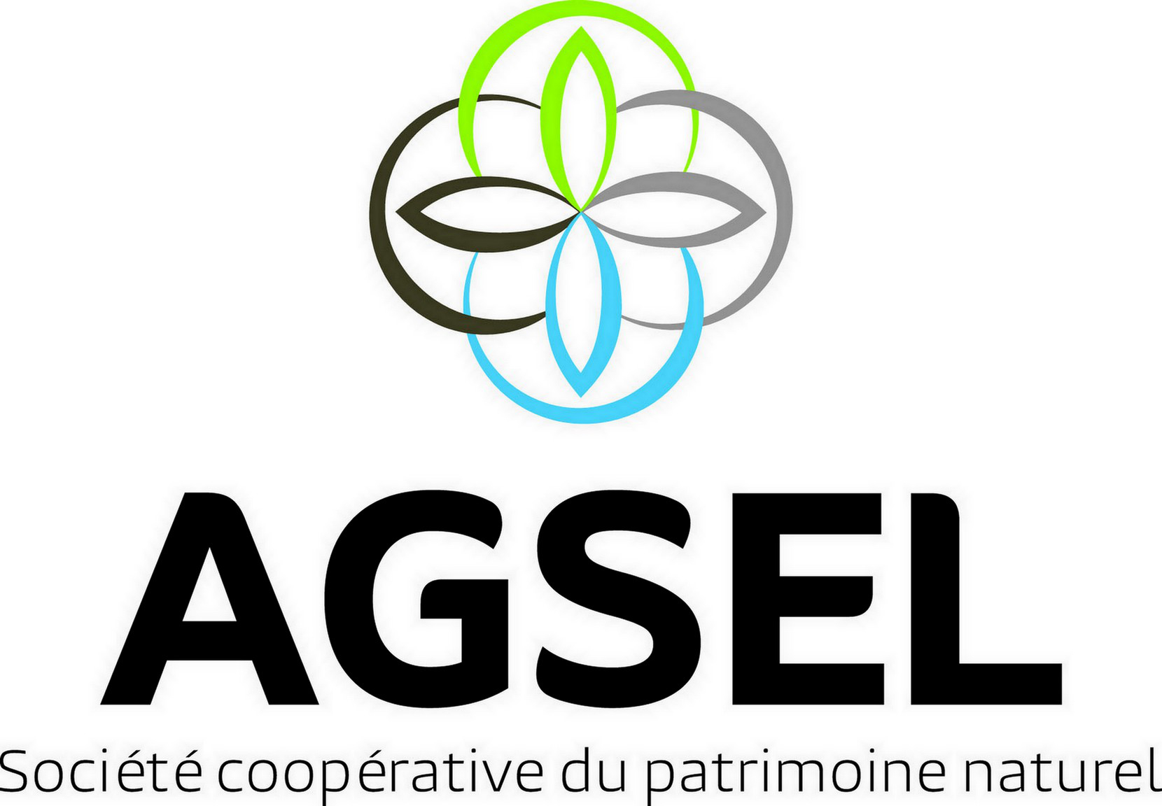 AGSEL- Logo