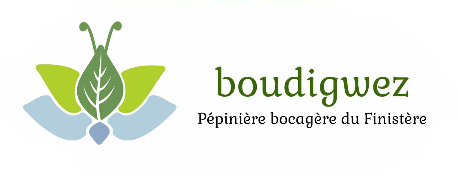 BOUDIGWEZ- Logo