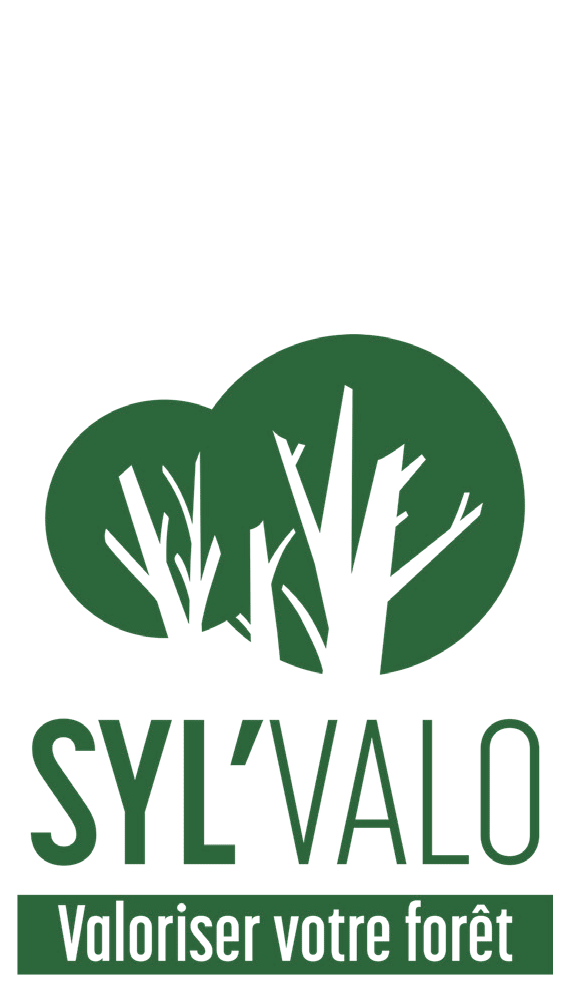 Logo Syl'Valo