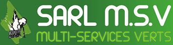 Logo MULTI-SERVICES VERTS (MSV)