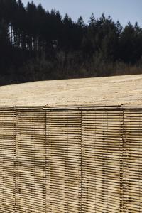 PhotoCENTRE EQUESTRE DU LAC DES SAPINS