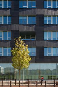 PhotoTERENEO - IBM Services Center