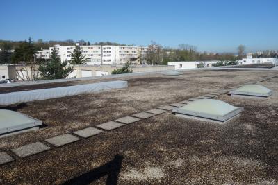 PhotoSurélévation immeuble Europarc du Chêne