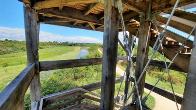 PhotoAménagement du Marais de Tasdon à la Rochelle